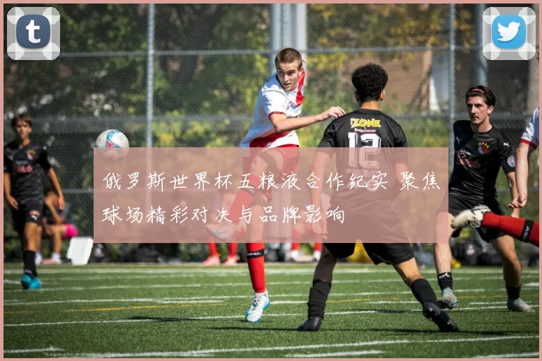 俄罗斯世界杯五粮液合作纪实 聚焦球场精彩对决与品牌影响