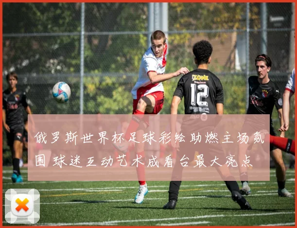 俄罗斯世界杯足球彩绘助燃主场氛围 球迷互动艺术成看台最大亮点