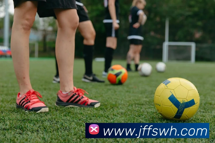 奖项证书